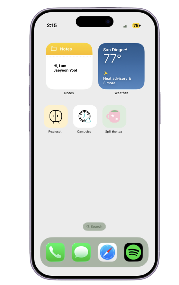 iPhone home screen mockup