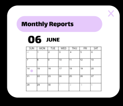 monthly reports panel