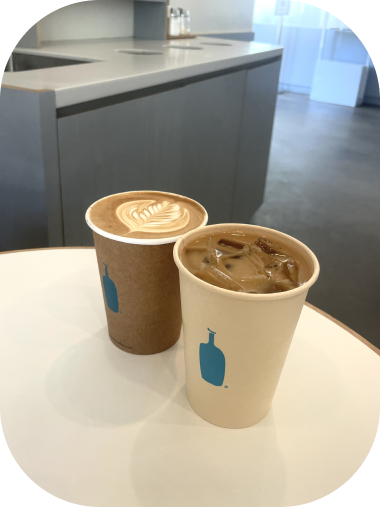 iced coffee drinks on a counter